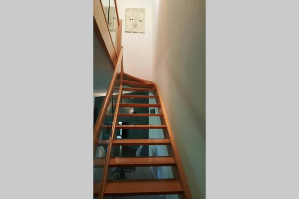 Superbe Duplex Au Nouveau Bassin Avec Vue Superbe 뮐루즈 외부 사진